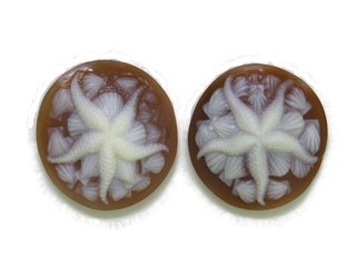 Starfish w/shells cameo 2pc set